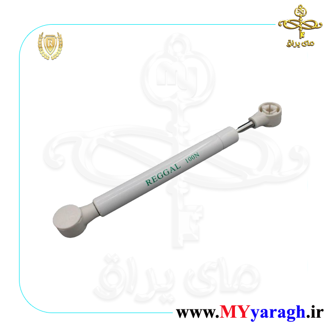 جک پمپی معکوس شرکت رگال